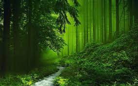 Cool 4k wallpapers ultra hd background images in 3840×2160 resolution. Hd Wallpaper Windows 10 Wallpaper 4k Nature 384526 Hd Wallpaper Backgrounds Download
