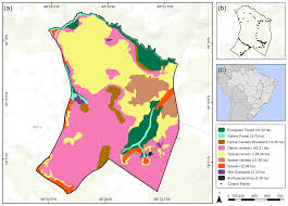 Next gen on the horizon. We Changes In The Cerrado Vegetation Structure Insights From More Than Three Decades Of Ecological Succession
