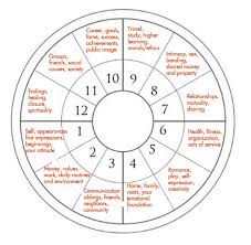 twelve house of astrology everyday tarot