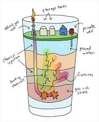 Account Suspended Tree Hugger Environmental Science Save Earth