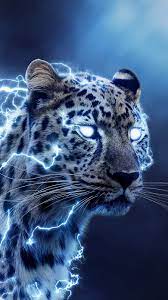 We did not find results for: Speedster Iphone Wallpaper Wild Animal Wallpaper Tiger Wallpaper Iphone Eagle Wallpaper