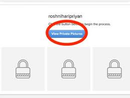 If you search for instagram private profile viewer on the web, you will fine a lot of fake websites that pretend to do the job. Top Rated Private Instagram Viewers And Tools Experts Overview