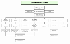 Ms Word Org Chart Templates Lovely 9 10 Microsoft