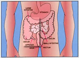 Image result for lower abdominal pain causes