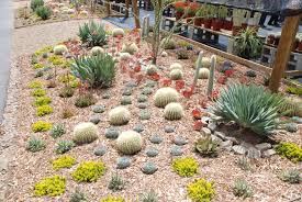 They also make good burglar bushes when planted in front of windows or by other entries. Outdoor Cactus For The Midwest A Must Have For The Garden Blog Embassy Landscape Group