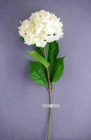 We did not find results for: Artificial Ivory White Hydrangea Flowers 7in Bloom Save On Crafts