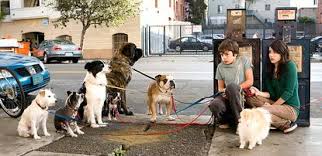Films Marley Me And Hotel For Dogs Make Push For Pet Adoption New York Daily News