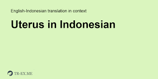 Perkataan kaki tidaklah menunjukkan perbezaan yang besar sebaliknya, perbezaannya itu hanyalah kecil sahaja dan makna intinya itu dapat dikesan dengan mudah. Apa Arti Uterus Dalam Bahasa Indonesia Terjemahan Dalam Bahasa Indonesia