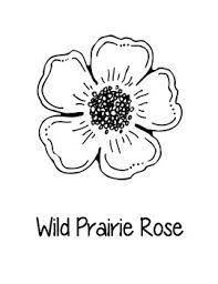 Beautiful flowers and easy ordering. North Dakota State Coloring Pages By Loving Life In Kindergarten