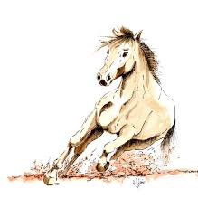 Les 40 épisodes d'au galop !, une saison à cheval se construisent autour des objectifs de deux centres équestres : Cheval Galop Drawing By Agnes Molinaro Artmajeur
