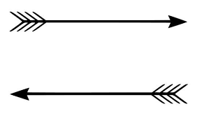 Pin On Vector