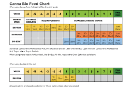 51 Exact Coco Canna Chart