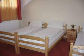 480 m² pensiune amplasata in padurea neagra. Viviana Hostel In Padurea Neagra Hostelsclub