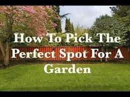 How To Pick The Perfect Spot For A Garden In Your Backyard 3 Tips Backyard Garden Big Boy Tomatoes