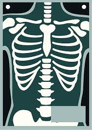 Human Body X Ray Rib Cage Rib Cage Weird Tattoos Baby Cartoon