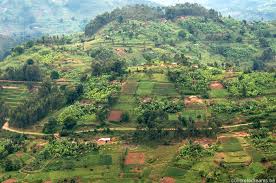 Select from premium rwanda landscape of the highest quality. Farming Lady Farming Landscape In Rwanda