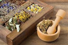 Intro to Herbalism with Claudia Nagy — Mountain Top Arboretum