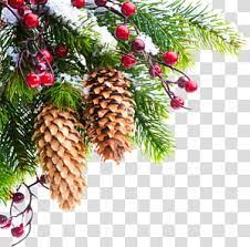 Christmas Tree Branch Pine Cone Transparent Background Png Clipart Christmas Tree Branches Christmas Tree Ornaments Green Christmas Tree