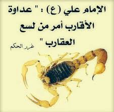 ا لس لام ع ل ى الن ب أ ال ع ظيم ا لس لام ع لى م ن ا ن ز ل الله فيه و ا ن ه في ا م ال ك تاب ل د ي نا ali quotes proverbs quotes cool words
