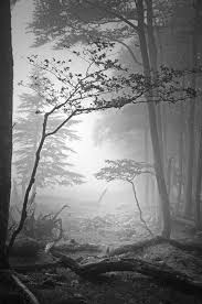 Black And White Landscape Photography Nature By Bruno Blais Soulhearts Nature Photography White Photography Landscape Photography