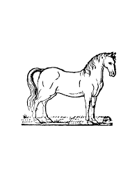 We have collected 38+ horse coloring page images of various designs for you to color. Free Printable Horse Coloring Pages For Kids