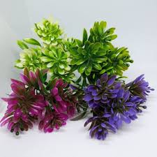 Dengan banyaknya variasi bentuk dan warnanya, anggrek vanda diklasifikasikan menjadi 40 spesies yang. Rumput Bunga Variasi Pinus Shopee Indonesia
