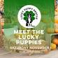 NY- Meet the Lucky Puppies event image