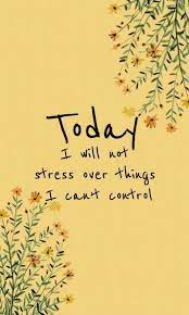 Today I Will Not Stress Over Things I Cannot Control Www Functionalrustic Com Functionalrustic Quote Quoteoftheda Positive Quotes Words Quotes Happy Quotes