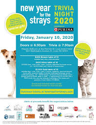 Louis attending the annual meeting of the society of surgical. Stray Rescue Of St Louis 2021 New Year For The Strays Virtual Trivia Night Fundraising Event