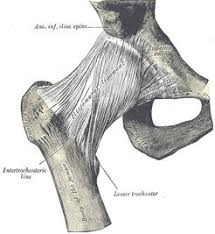 Image result for Hip Exam