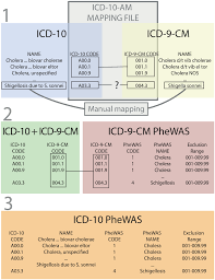 Three Steps Terminology Construction From Phewas Codes