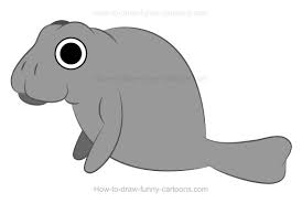 How To Draw A Cartoon Manatee Map of manatee county in florida. how to draw funny cartoons