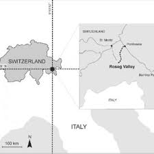 Hopp schwiiz schweiz nati fanartikel stirnband strubbelhaar fussball hockey tennis schweizer fan hopp schwiiz! Pdf Recent Evolution Of Debris Flow Fans In The Central Swiss Alps And Associated Risk Assessment Two Examples In Roseg Valley
