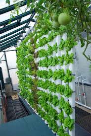 26 Simple Hydroponic Garden Ideas For Good Alternative Garden In Your Home Gardening Garde In 2021 Small Space Gardening Vertical Garden Design Hydroponic Gardening