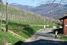 familienspaziergang in der klus baselland ausflugsidee bauernhof weingut aesch ausflug aesch weingut
