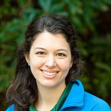 Chatter In The Trees, Buzzin' From The Bees