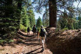 Gunsight pass trailhead this trailhead is a jumping off point for popular backcountry adventures. Hike To Biledo Meadow In Sierra National Forest