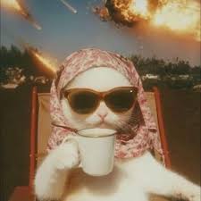 Jasmine Michelle Roig"