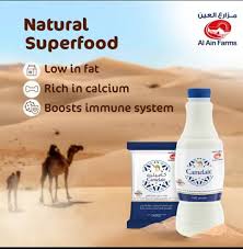 Freshly frozen raw camel milk, camel milk powder, desert care cream, camel milk capsules and camel milk soap. Camelait Camel Milk Asia Home Facebook