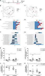 Lithium Treatment Reverses Irradiation Induced Changes In Rodent Neural Progenitors And Rescues Cognition Molecular Psychiatry