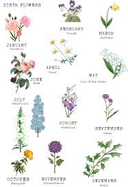 Birth flowers for all months. Birth Flower Family Print Unframed By Summer Lane Studio Notonthehighstreet Com