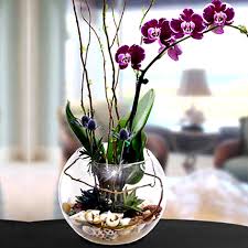 Save on gorgeous bouquets & sprays. Artificial Flowers Online Artificial Flowers Dubai Ferns N Petals