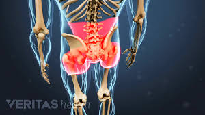 Teeth, front teeth, back teeth, upper teeth, lower teeth, molar, premolar, incisor, canine tooth, wisdom electrodes on the remains of the hand muscles firing and computers, located in the elbow artificial arm the heart is the muscle that pumps blood filled with oxygen and nutrients through the blood. Hip Osteoarthritis Symptoms
