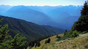 Official website of the olympic games. Olympic National Park Usa Reisetipps