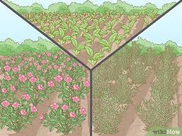 Choosing a location for starting an herb garden. How To Start A Garden 13 Steps With Pictures Wikihow