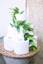 Torte Aus Toilettenpapier Selber Machen Toilettenpapier Silberhochzeit Geschenk Und Papier