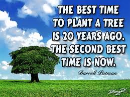 Plan a tree, get disease free. Quotes About Plant A Tree 116 Quotes