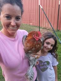 I still have 4 , 20 week old pullets. 2 rhode island reds and 2 easter  eggers. 1 columbian wyandotte rooster. 1 rhode island red rooster. 1 blue  copper maran rooster. 2