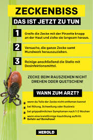 Zeckenbiss Was Tun Zeckenbiss Zecke Hausmittel