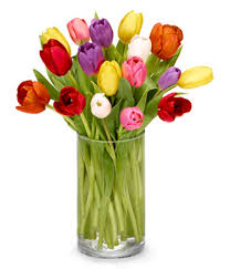 Check spelling or type a new query. Rainbow Of Tulips Vase Arrangement In Nampa Id Flowers By My Michelle